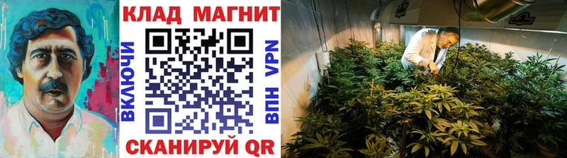 Названия наркотиков Семилуки Псилоцибиновые грибы  COCAIN  Мефедрон  Конопля  Гашиш  Лсд 25  Alpha PVP 