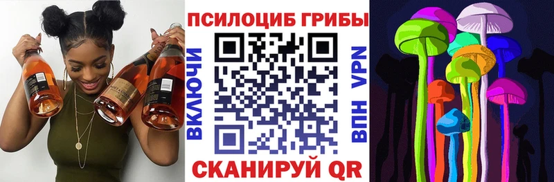 Псилоцибиновые грибы Cubensis  Семилуки 